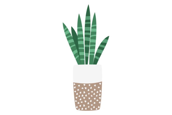 Aloe Cute Drawing: Your Go-To Green Decorative Plant Icon