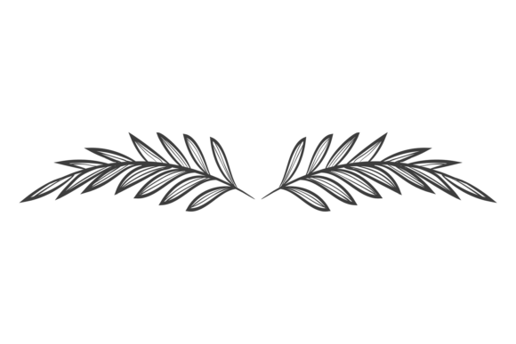 Decorative Header with Hand Drawn Botany: A Designer's Guide