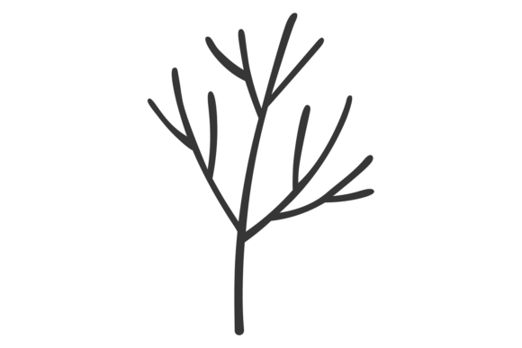 Unearthing Nature's Raw Beauty with Dead Tree Branch